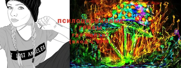 гашик Алексеевка