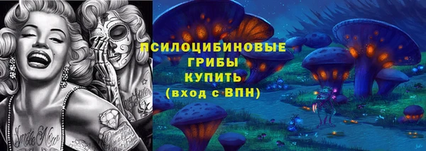 круглые Алзамай