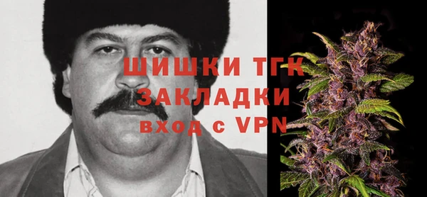 винт Абаза